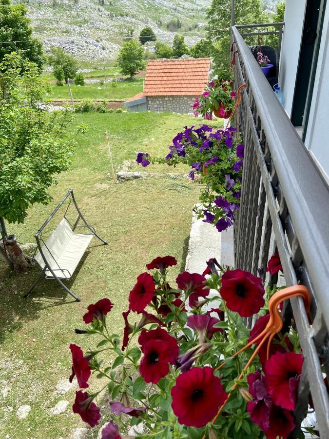 Guest House Markovic Lovcen Cetinje Dış mekan fotoğraf