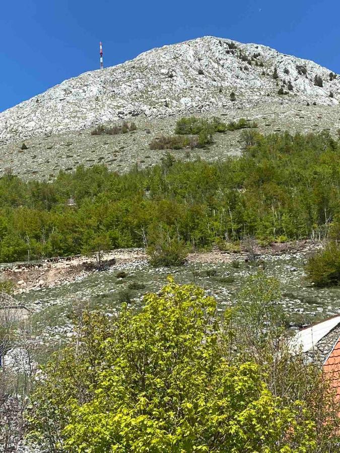 Guest House Markovic Lovcen Cetinje Dış mekan fotoğraf