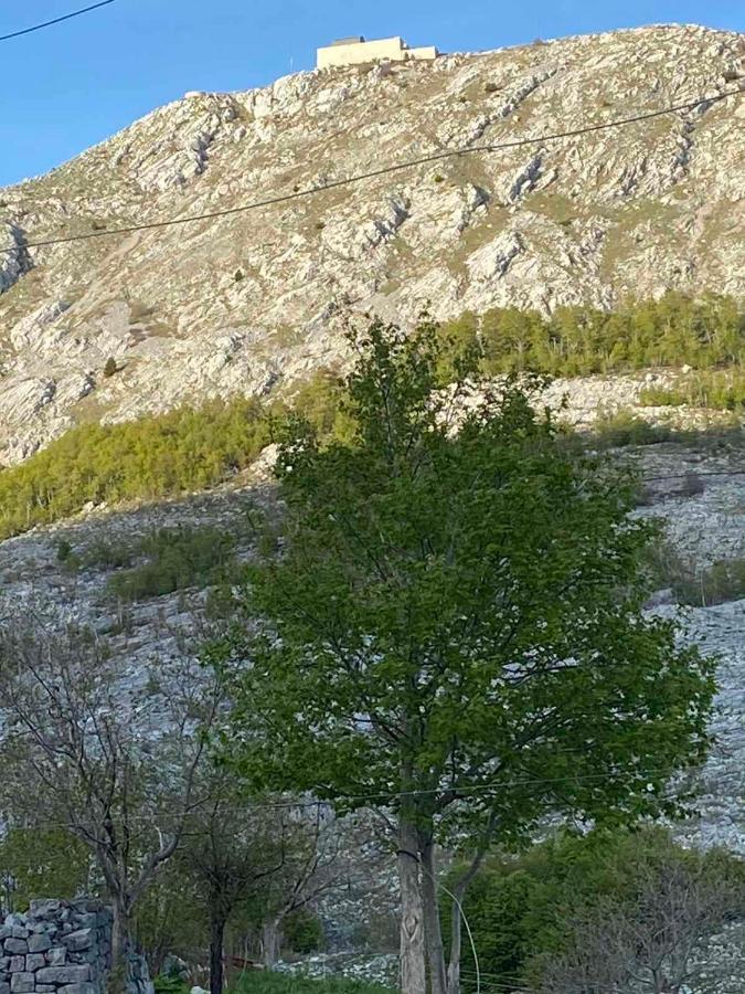 Guest House Markovic Lovcen Cetinje Dış mekan fotoğraf