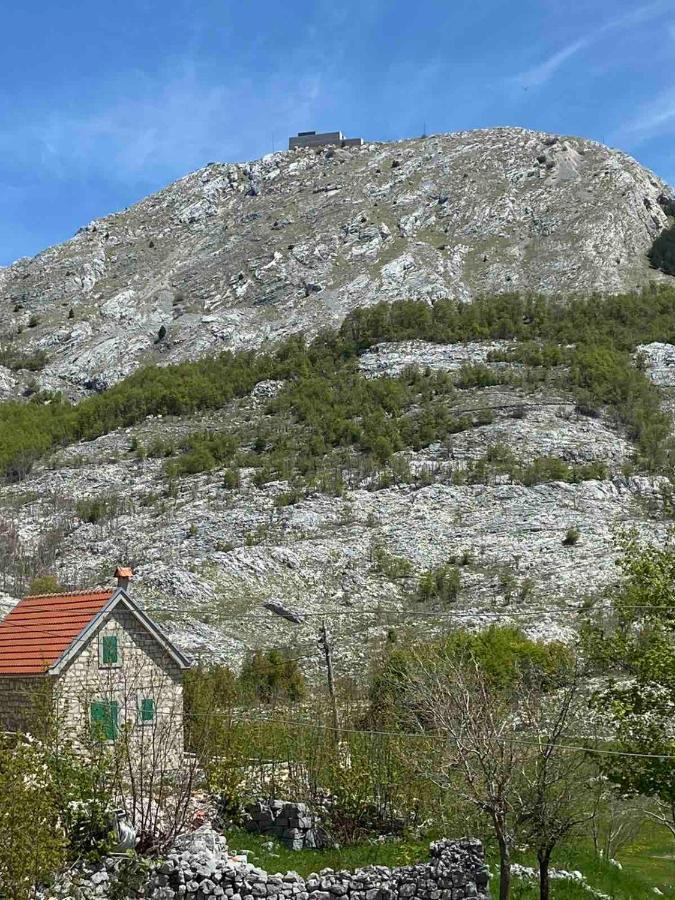 Guest House Markovic Lovcen Cetinje Dış mekan fotoğraf